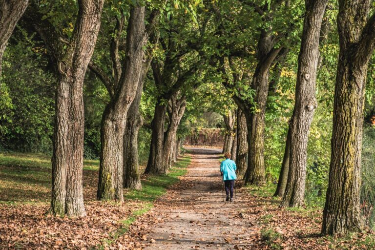 Walking for Weight Loss: The Underrated Fat Burner